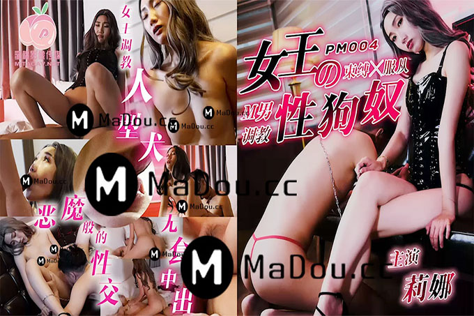 女王训练娃娃狗