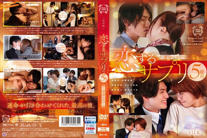 恋爱补充品第5粒～宿命的男友～